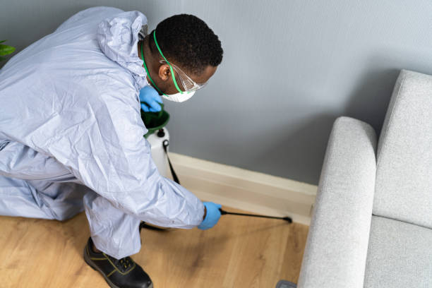 Best Real Estate Pest Inspections  in Blountsville, AL